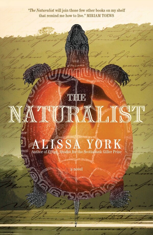 The Naturalist by Alissa York, Paperback | Indigo Chapters