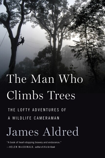 The Man Who Climbs Trees by James Aldred, Paperback | Indigo Chapters