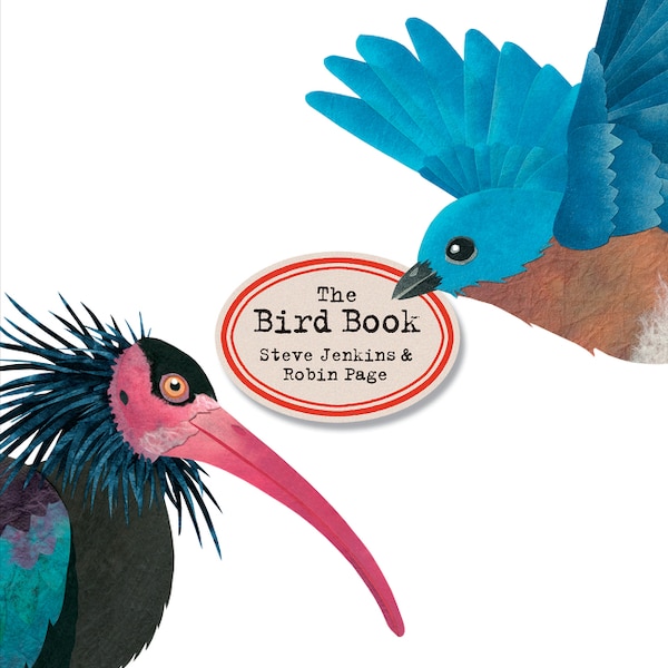 The Bird Book by Steve Jenkins, Hardcover | Indigo Chapters