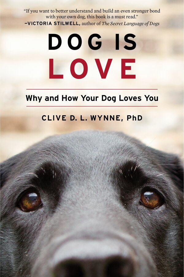 Dog Is Love by Clive D. L. Wynne, Paperback | Indigo Chapters