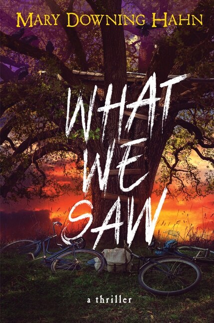 What We Saw by Mary Downing Hahn, Hardcover | Indigo Chapters