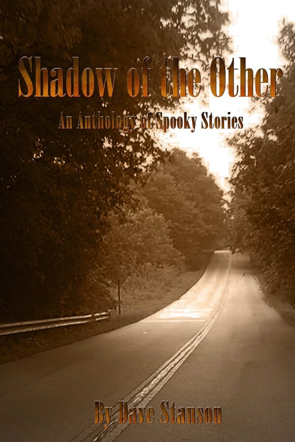 Shadow of the Other by Dave Stanson, Paperback | Indigo Chapters