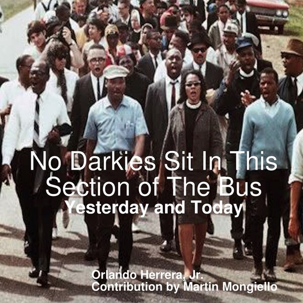 No Darkies Sit In This Section of The Bus by Orlando Herrera, Paperback | Indigo Chapters