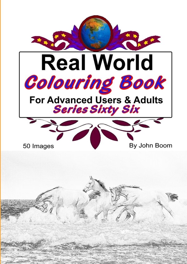 Real World Colouring Books Series 66 by John Boom, Paperback | Indigo Chapters