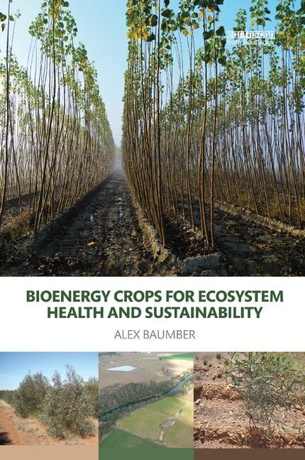 Bioenergy Crops For Ecosystem Health And Sustainability by Alex Baumber, Paperback | Indigo Chapters