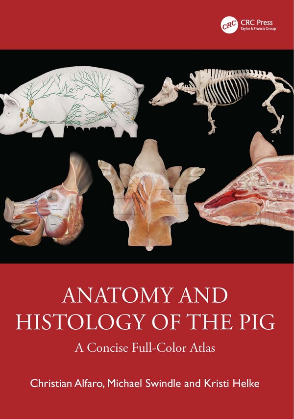 Anatomy and Histology of the Pig by Christian Alfaro, Hardcover | Indigo Chapters