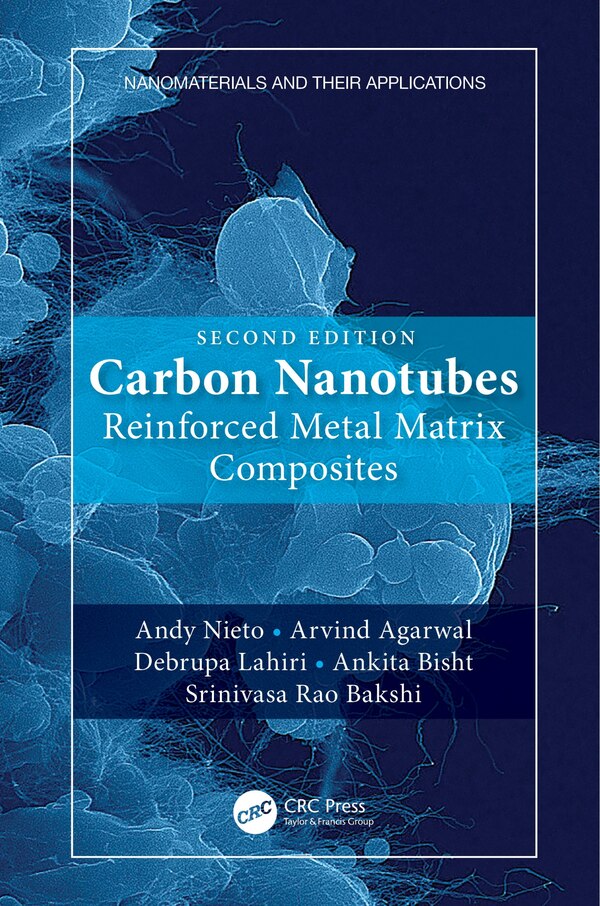 Carbon Nanotubes by Andy Nieto, Paperback | Indigo Chapters