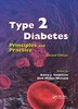 Type 2 Diabetes by Barry J. Goldstein, Paperback | Indigo Chapters