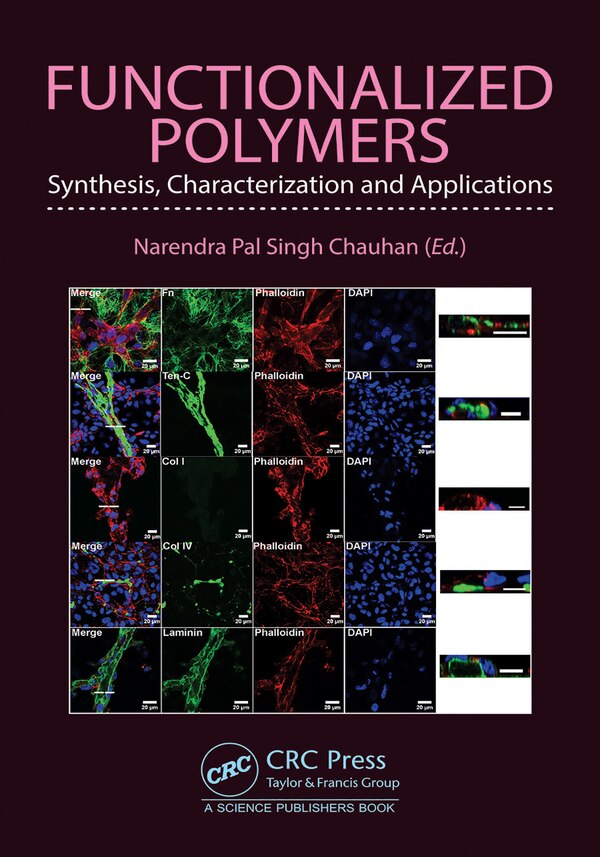 Functionalized Polymers by Narendra Pal Singh Chauhan, Hardcover | Indigo Chapters