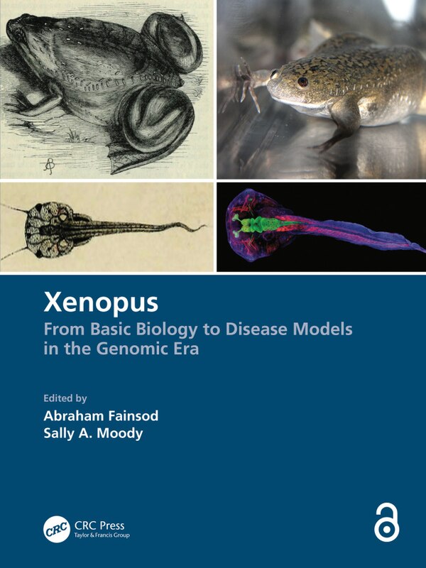 Xenopus by Abraham Fainsod, Paperback | Indigo Chapters