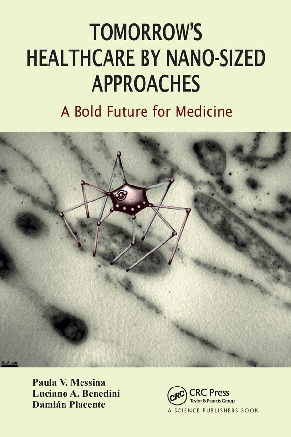 Tomorrow's Healthcare By Nano-sized Approaches by Paula Messina, Paperback | Indigo Chapters