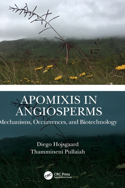 Apomixis in Angiosperms by Diego Hojsgaard, Hardcover | Indigo Chapters