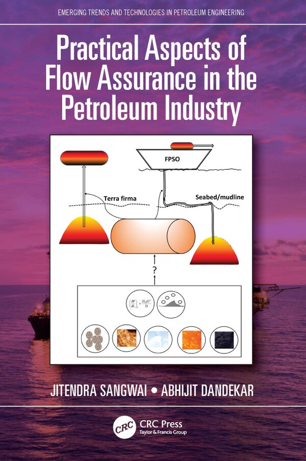 Practical Aspects of Flow Assurance in the Petroleum Industry by Jitendra Sangwai, Paperback | Indigo Chapters