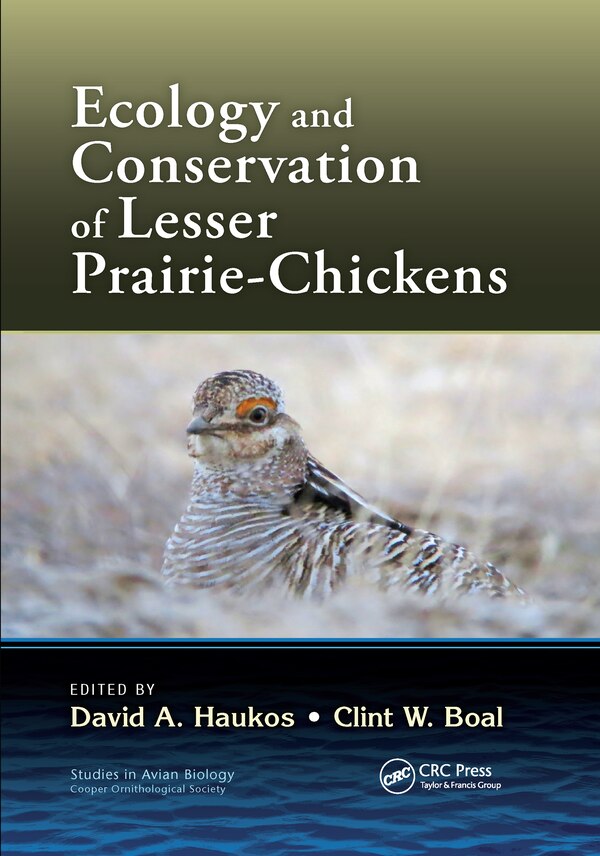 Ecology And Conservation Of Lesser Prairie-chickens by David A. Haukos, Paperback | Indigo Chapters