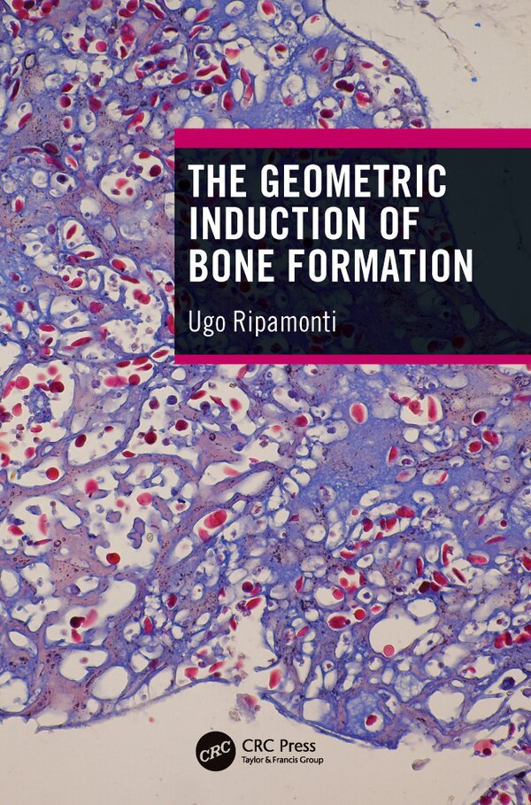 Geometric Induction of Bone Formation by Ugo Ripamonti, Paperback | Indigo Chapters