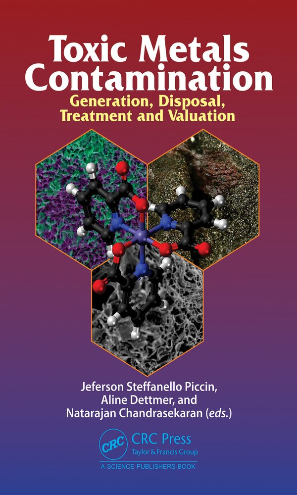 Toxic Metals Contamination by Jeferson Steffanello Piccin, Hardcover | Indigo Chapters