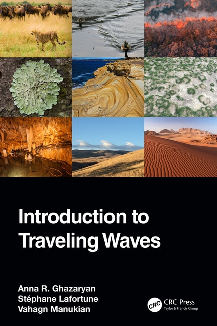Introduction to Traveling Waves by Anna R. Ghazaryan, Hardcover | Indigo Chapters