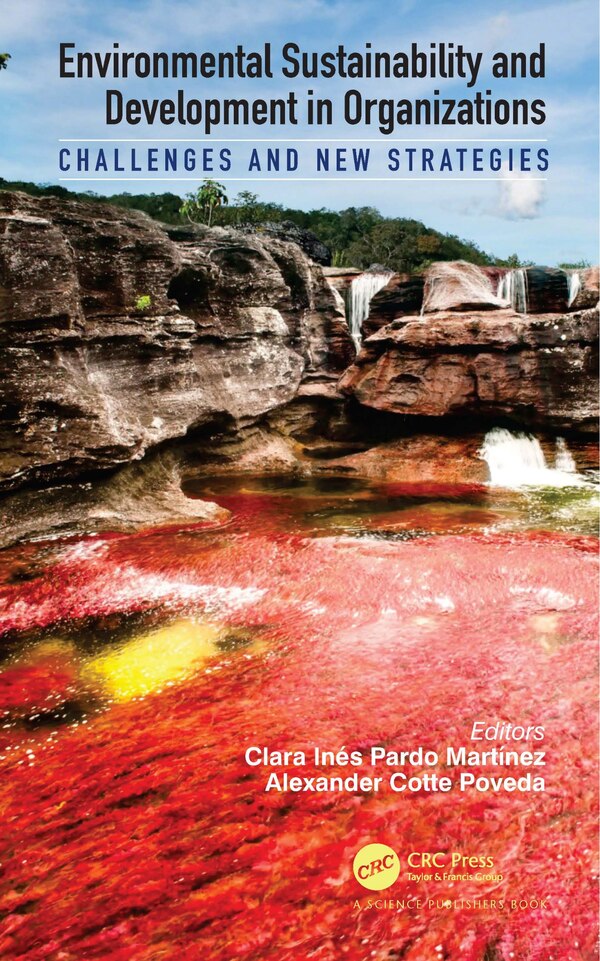 Environmental Sustainability and Development in Organizations by Clara Ines Pardo Martinez, Paperback | Indigo Chapters