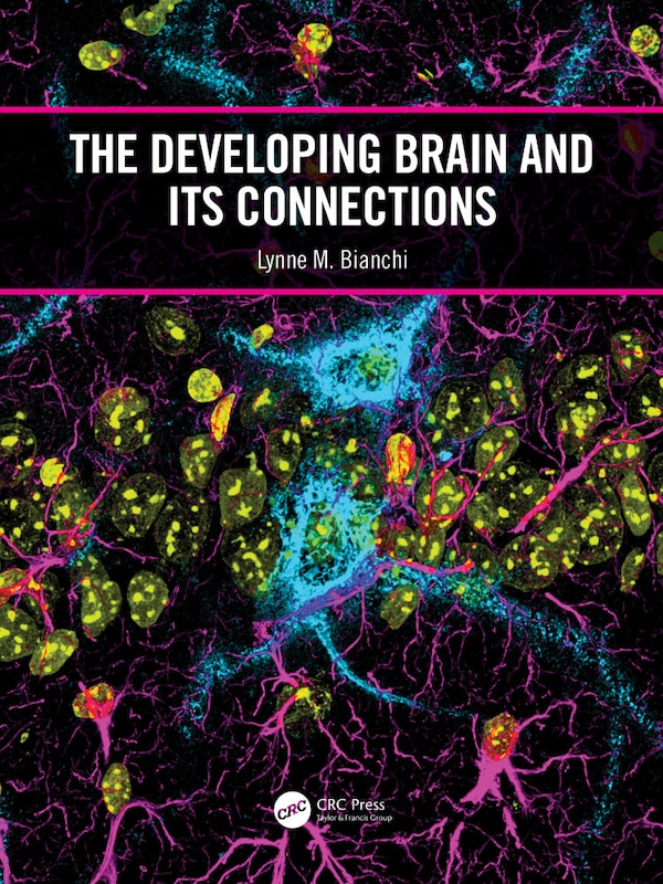 Developing Brain and its Connections by Lynne M. Bianchi, Paperback | Indigo Chapters