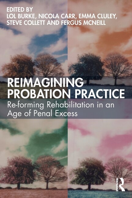 Reimagining Probation Practice by Lol Burke, Paperback | Indigo Chapters