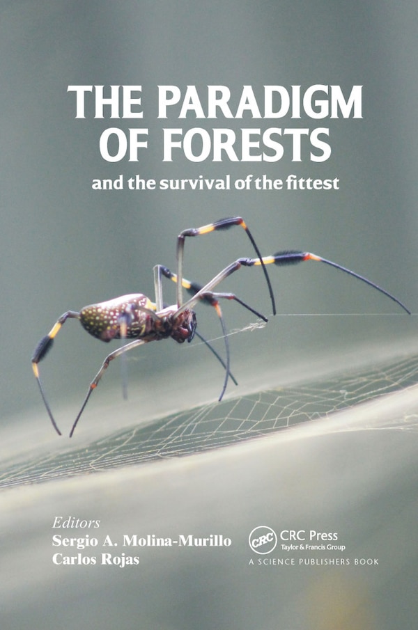 The Paradigm of Forests and the Survival of the Fittest by Sergio A. Molina-murillo, Paperback | Indigo Chapters