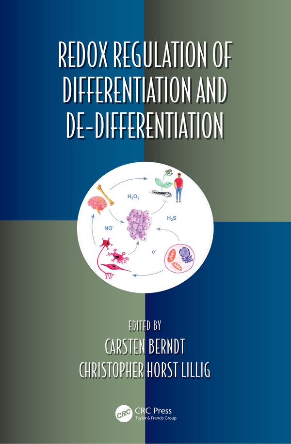 Redox Regulation of Differentiation and De-differentiation by Carsten Berndt, Hardcover | Indigo Chapters