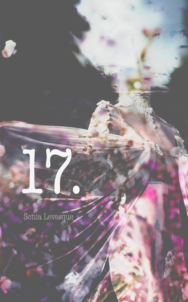 17 by Sonia Levesque, Paperback | Indigo Chapters