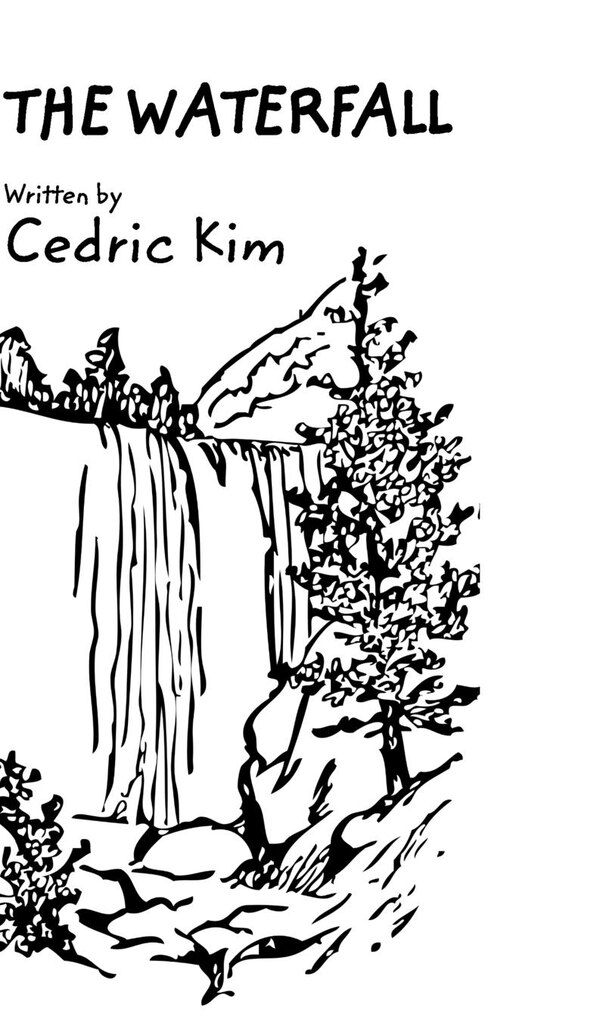 The Waterfall by Cedric Kim, Hardcover | Indigo Chapters