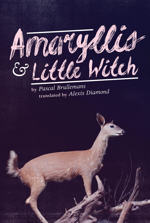 Amaryllis & Little Witch by Pascal Brullemans, Paperback | Indigo Chapters