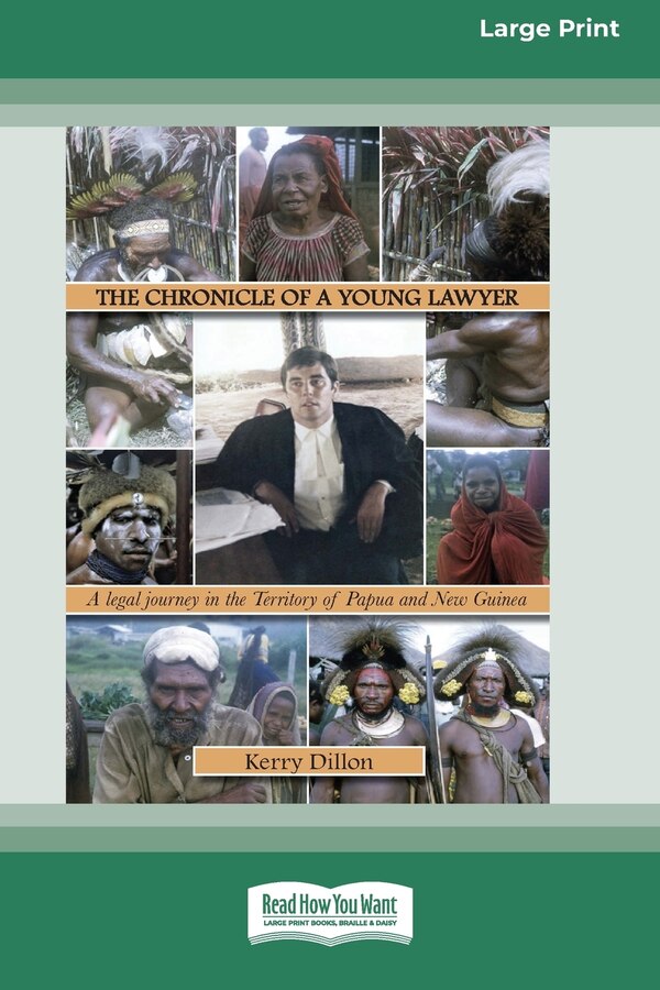 The Chronicle of a Young Lawyer by Kerry Dillon, Paperback | Indigo Chapters