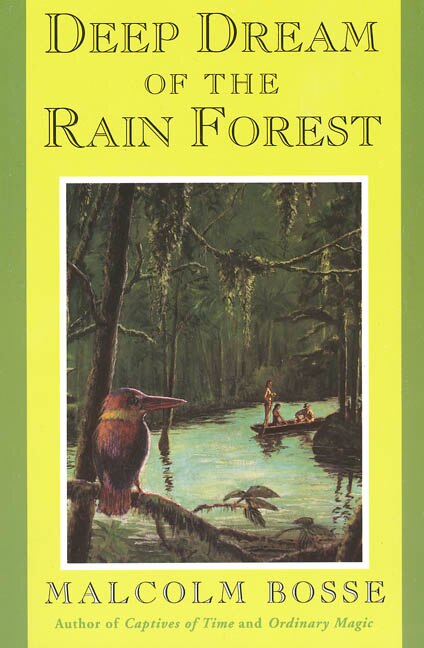 Deep Dream of the Rain Forest by Malcolm Bosse, Paperback | Indigo Chapters