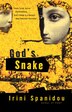 God's Snake by Irini Spanidou, Paperback | Indigo Chapters