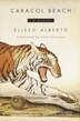Caracol Beach by Eliseo Alberto, Paperback | Indigo Chapters