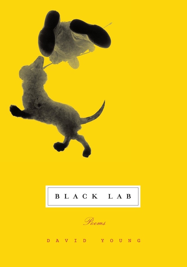 Black Lab by David Young, Paperback | Indigo Chapters