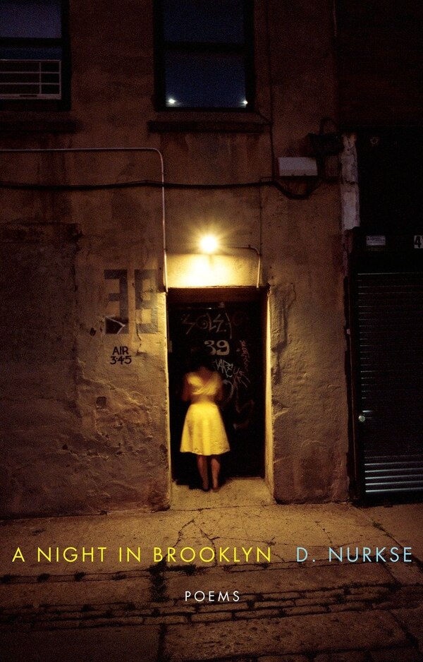 A Night In Brooklyn by D. Nurkse, Paperback | Indigo Chapters