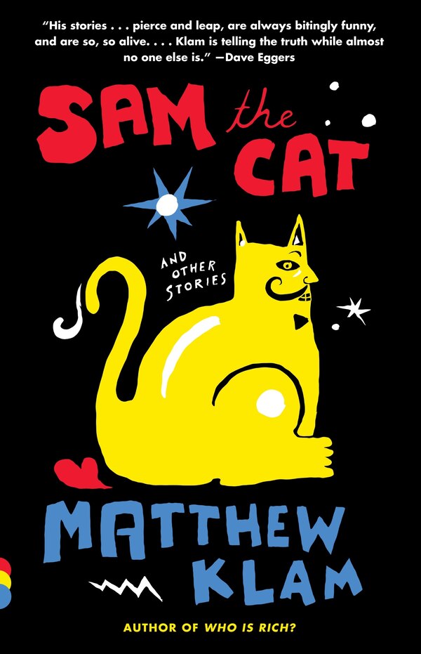 Sam The Cat by Matthew Klam, Paperback | Indigo Chapters