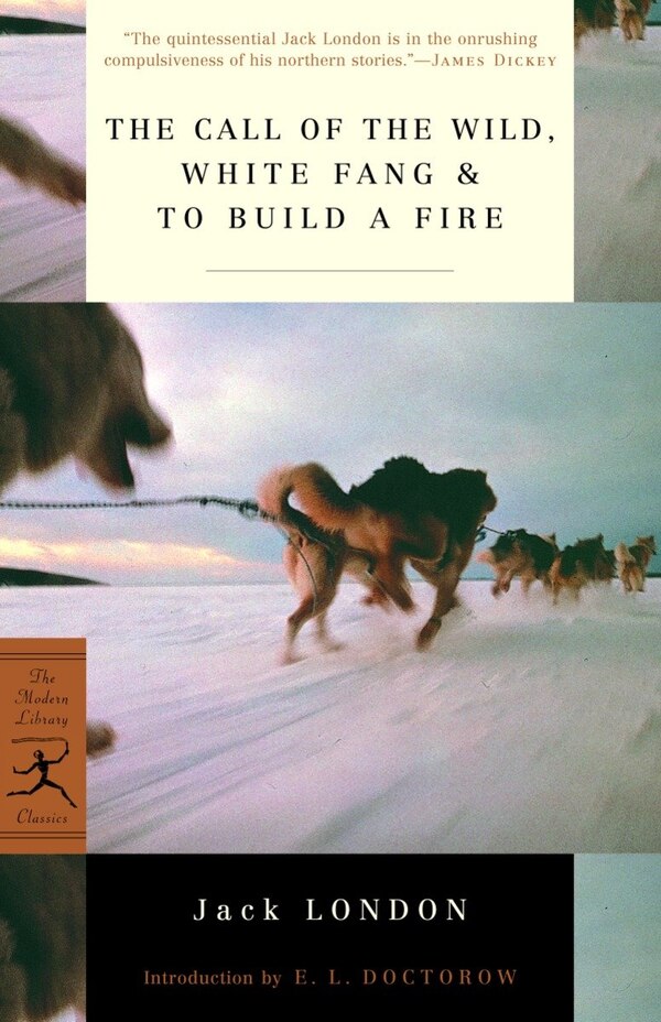 The Call of the Wild White Fang & To Build a Fire by Jack London, Paperback | Indigo Chapters