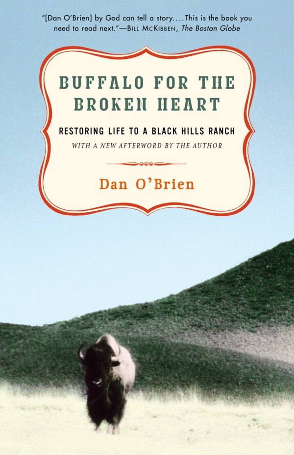 Buffalo for the Broken Heart by Dan O'Brien, Paperback | Indigo Chapters