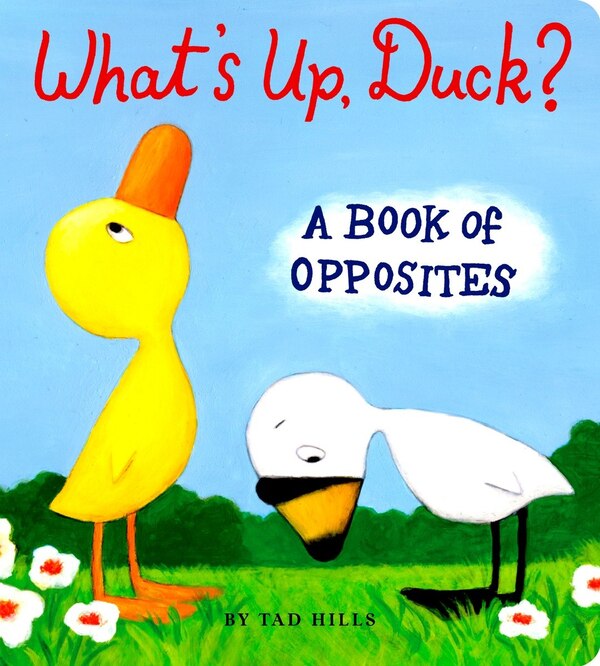 What's Up Duck? by Tad Hills, Board Book | Indigo Chapters