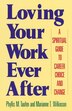 Loving Your Work Ever After by Marianne T. Wilkinson, Paperback | Indigo Chapters