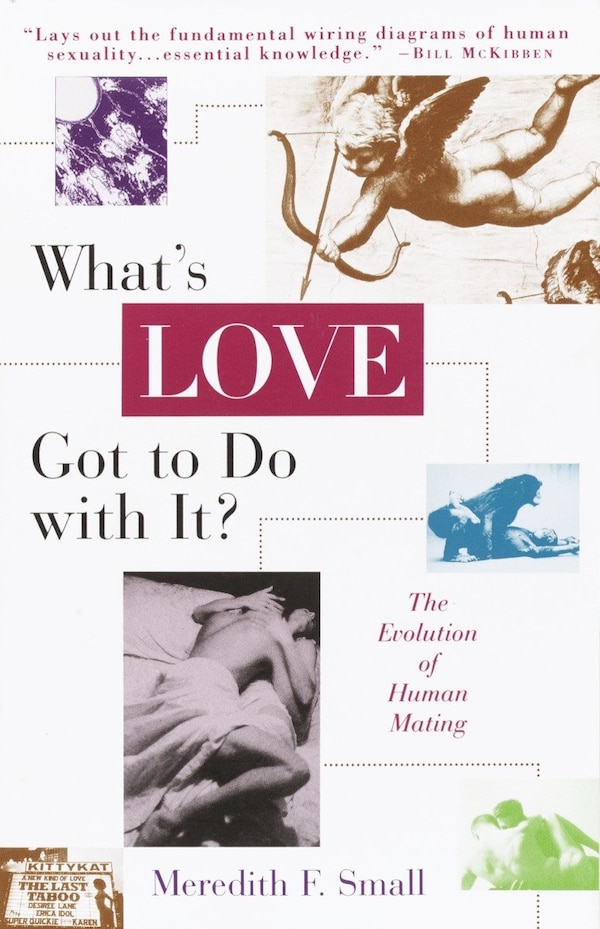 What's Love Got To Do With It? by Meredith Small, Paperback | Indigo Chapters
