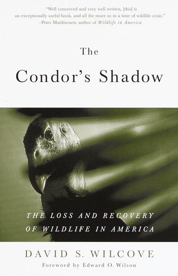 The Condor's Shadow by David S. Wilcove, Paperback | Indigo Chapters