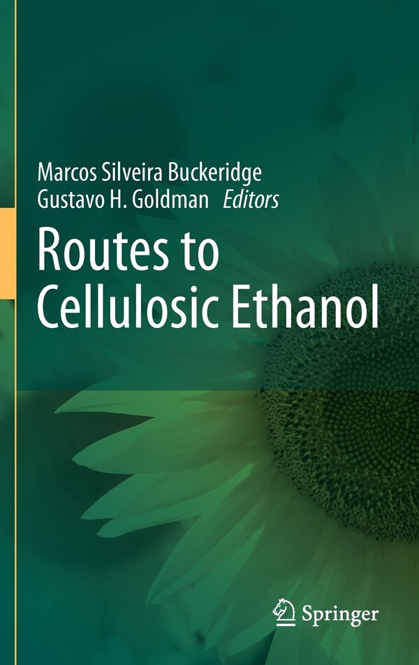 Routes to Cellulosic Ethanol by Marcos Silveira Buckeridge, Hardcover | Indigo Chapters
