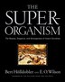 The Superorganism by Bert Holldobler, Hardcover | Indigo Chapters