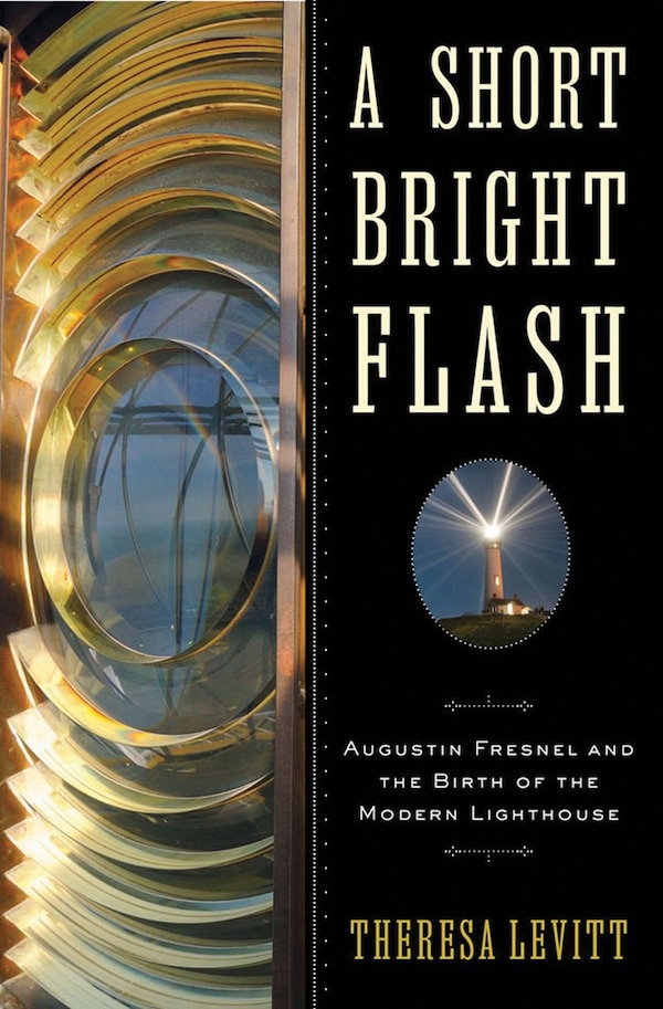 A Short Bright Flash by Theresa Levitt, Hardcover | Indigo Chapters