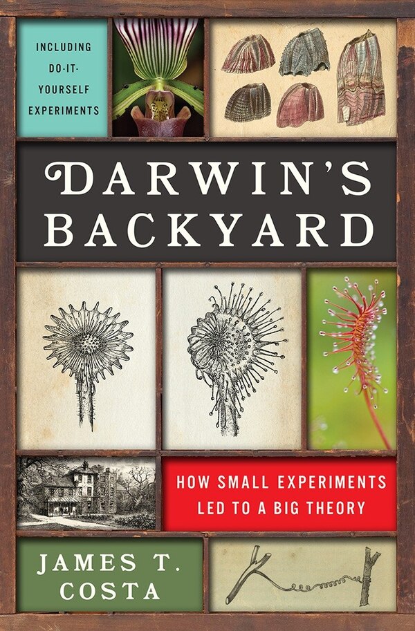 Darwin's Backyard by James T. Costa, Hardcover | Indigo Chapters