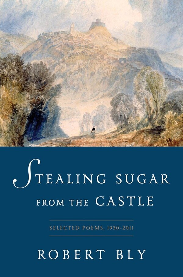 Stealing Sugar From The Castle by Robert Bly, Hardcover | Indigo Chapters