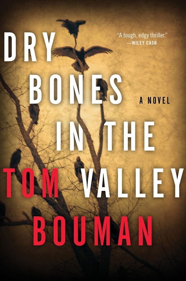 Dry Bones In The Valley by Tom Bouman, Hardcover | Indigo Chapters