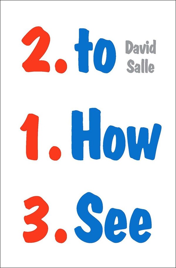 How To See by David Salle, Hardcover | Indigo Chapters