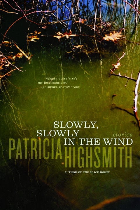 Slowly Slowly In The Wind by PATRICIA HIGHSMITH, Paperback | Indigo Chapters